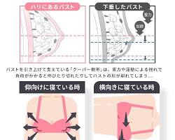 アップミースタイリングブラ カップへのバストの収まりの画像
