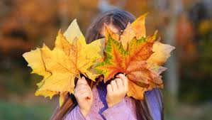 Las MEJORES frases para recibir el otoño; así puedes darle la bienvenida a una nueva época del año