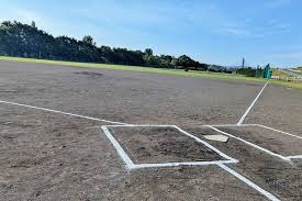 News source: 琉球新報デジタル