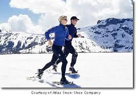 Image result for snowshoeing