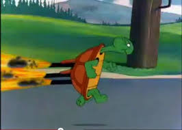 Image result for cecil turtle