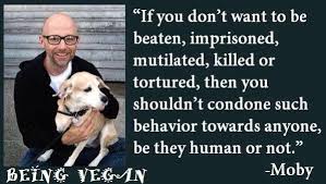 Best Vegan Quotes. QuotesGram via Relatably.com