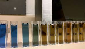 Image result for protein quantification