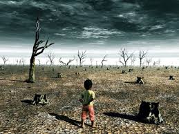 Resultado de imagen para DERECHOS HUMANOS Y MEDIO AMBIENTE