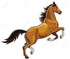 Image result for HORSE