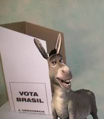 Resultado de imagem para idiota votando