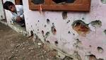 J&K Schools along International Border