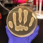  Beneficial skin bacteria protect against skin cancer