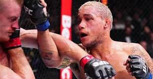 LowKickMMA.com - News update