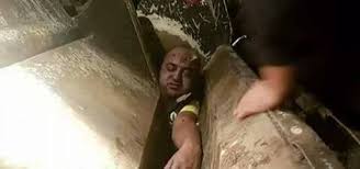 نتيجة بحث الصور عن إتلاف كمية من الأسماك الممنوعة الصيد