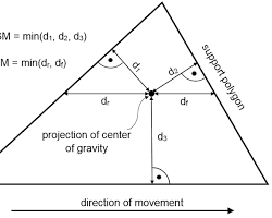 Placeholder for CoM and Support Polygon Diagram