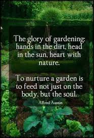 Gardening Quotes on Pinterest | Garden Quotes, Gardening and Gardens via Relatably.com