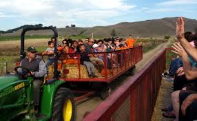 Image result for fall festival pics