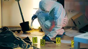 PT propone aprovechar la información biométrica del INE para el reconocimiento de cuerpos en instalaciones forenses