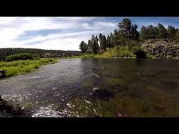 Image result for williamson river