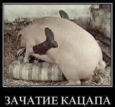 Неизвестные "заминировали" Верховный суд в день рассмотрения иска по долгам депутатов - Цензор.НЕТ 4468
