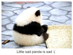 Résultat de recherche d'images pour "sad panda"
