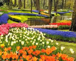 Image of Keukenhof Gardens Netherlands