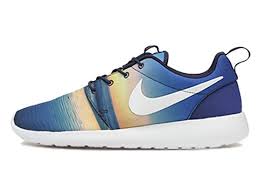 Image result for roshe run