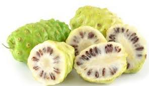 Hasil gambar untuk khasiat buah mengkudu