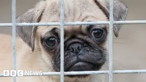 BBC - News update