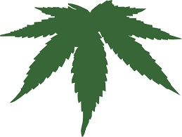 Résultat de recherche d'images pour "cannabis leaf"