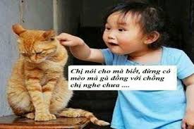 Kết quả hình ảnh cho anh chế