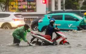 Tin tức 24h - News update