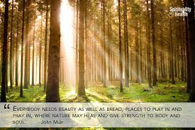 John Muir&#39;s quotes, famous and not much - QuotationOf . COM via Relatably.com