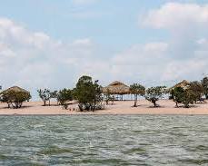 Imagem de Amazonian beaches and rainforest in Alter do Chão, Pará, Brazil