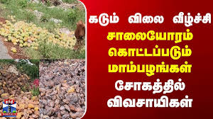 Krishnagiri’s Mango Crisis: A Harvest of Debt and Despair