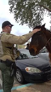 The Pima County Sheriff's Department received an interesting ...