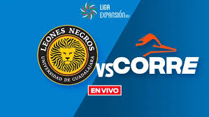Leones Negros