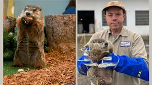 Groundhog Day 2026: Turtle joins 2 N.J. groundhogs to predict when spring will arrive