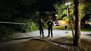 SVT Nyheter - News update