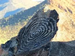 Visiting Saguaro National Park - Tanama Tales