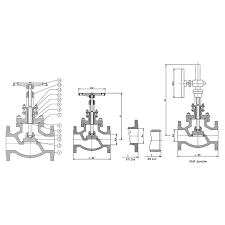 API Globe Valve | Vis Vana