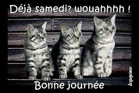 R�sultat de recherche d'images pour "gif gratuit bonjour samedi"