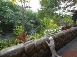 Resultado de imagen para john huston statue puerto vallarta