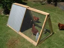 Image result for chicken cage