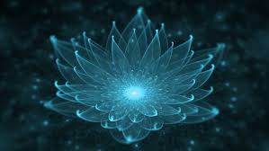 Image result for tranquil meditation