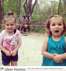 Image result for Natural funny image