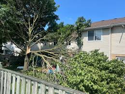 Tornado confirmed during Woodstock, Ont., storm on Saturday that damaged homes and vehicles