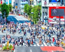 Image of 澀谷人行橫道，東京