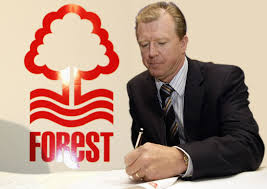 Image result for steve mcclaren