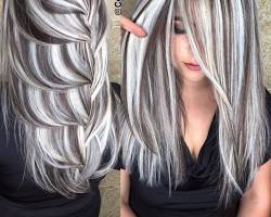 Image de Long Grey Hair with Silver Highlights