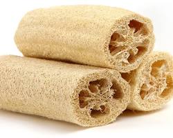 Loofah