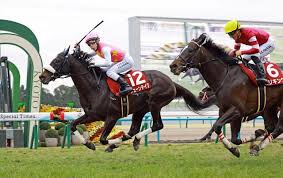 News source: Yahoo!ニュース