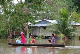 Resultado de imagen para fotos region amazonica