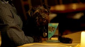 Ted Gone Fishing : ce qu'il faut savoir — image 4